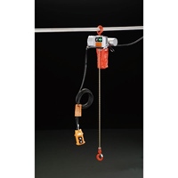 AC100V/125kgx 6m 電動チェーンブロック