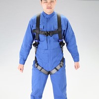 はしご昇降用墜落制止用器具(フルハーネス)_選択画像03