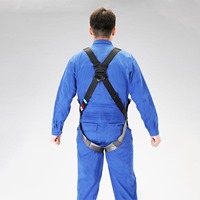 はしご昇降用墜落制止用器具(フルハーネス)_選択画像04