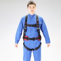 WorkPosition用墜落制止用器具フルハーネス_選択画像03