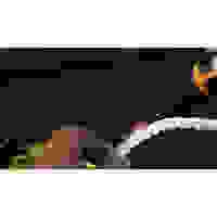 ホットナイフ替刃(EA304ZG-1用)_選択画像02