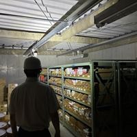 [充電式] ヘッドライト/LED(バンドレス)_選択画像02