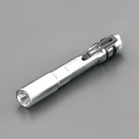 フラッシュライト/LED(充電池セット/Silver