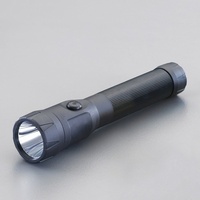 充電式フラッシュライト/LED(黒/ホルスター