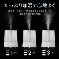 季節品)AC100/260W/15畳超音波加湿器(上給_選択画像04