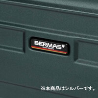 400x250x580mm/54L キャリーケース(銀)_選択画像02