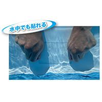 101mmx2.43m[超強力]防水補修テープ(クリア_選択画像04