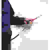 #2x100mm [+]絶縁ドライバー(落下防止付)_選択画像02