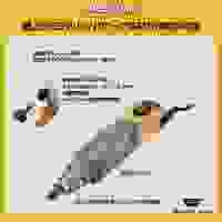 AC100V/8000-20000rpmマイクログラインダー_選択画像02