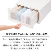 440x740x300mm 引出し式収納ケース(2個)_選択画像02
