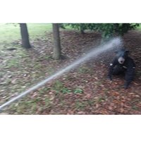 240ml 熊･害獣撃退スプレー(ホルスター付)_選択画像04