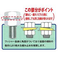 6.4x12.5x1.5mm ゆるみ止ワッシャー(10個)_選択画像02