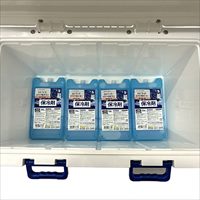 季節品)19.3Lクーラーボックス保冷剤4個Set_選択画像03