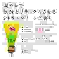 10L　ボディウォッシュ(フィエスタ)_選択画像03