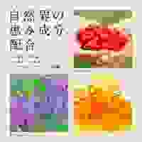 10L　ボディウォッシュ(フィエスタ)_選択画像04