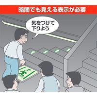 100x120mm [中輝度蓄光式]床用誘導標識_選択画像02
