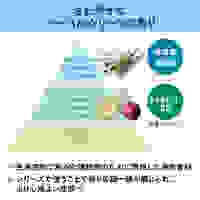500x110x1367ワイパー(消臭Wetシート付)_選択画像04