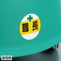 φ35ヘルメットステッカー(電気工事士/2枚)_選択画像02