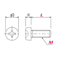 M2.6x 6mm 鍋頭小ねじ(PEEK/2本)_選択画像02