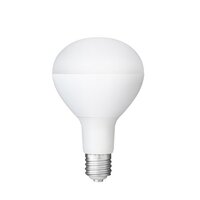 25W/口金E39 作業灯用LED球