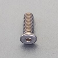 M6x10mm六角穴付ボルト(チタン/超低頭/1本)