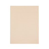 BLパネル BL-1209 GRY グレージュ