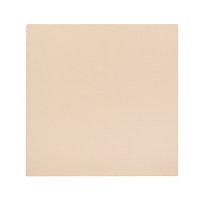 BLパネル BL-1212 GRY グレージュ