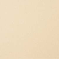 ■EPパネル EP-1809PL SB サンドベージュ_選択画像02