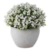 人工樹木 ベイビィズブレス WH 92505