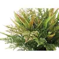 人工樹木 ラージMIXファンポット 92506_選択画像02