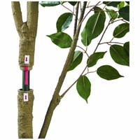 人工樹木ナチュラベンジャミンH2100 92509_選択画像03