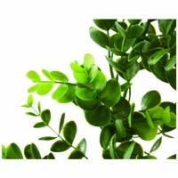 デコグリーンガーランド GG-170E ユーカリ_選択画像02