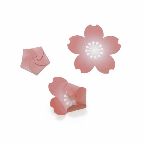 花咲くカード Ar スマートスクール スマスク