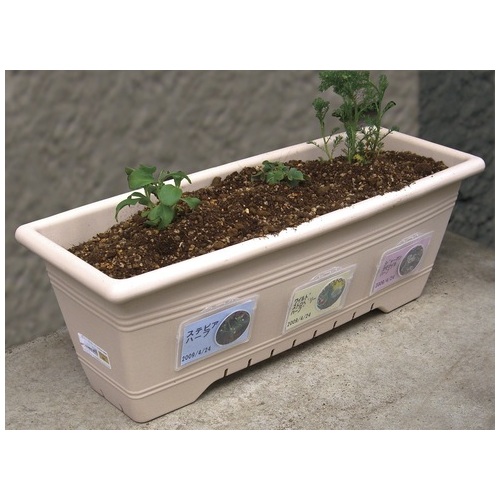 超強力両面テープスーパー多用途19mm×4m_画像04