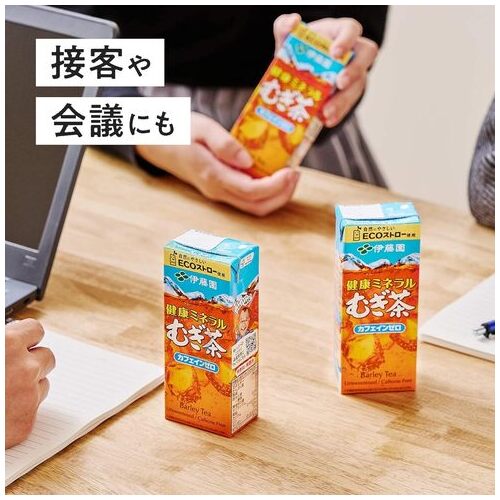 ※健康ミネラルむぎ茶 紙パック 250mL 24本_画像03