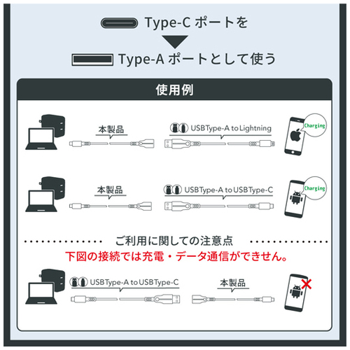 変換ケーブル C-Aメス OWL-CBCMAF2-BK_画像04