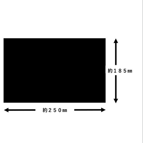 おしぼり 平 無地 2000枚 H-10 185250_画像02