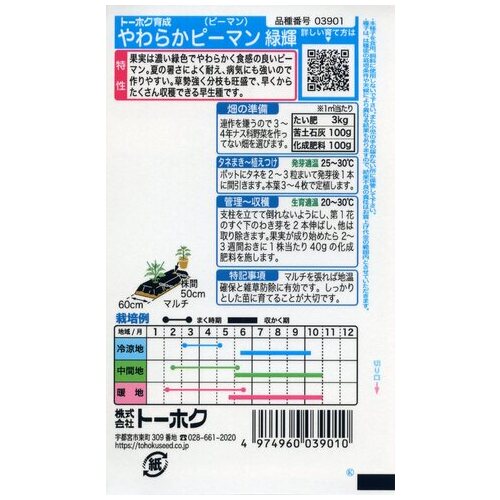 やわらかピーマン3901_画像02