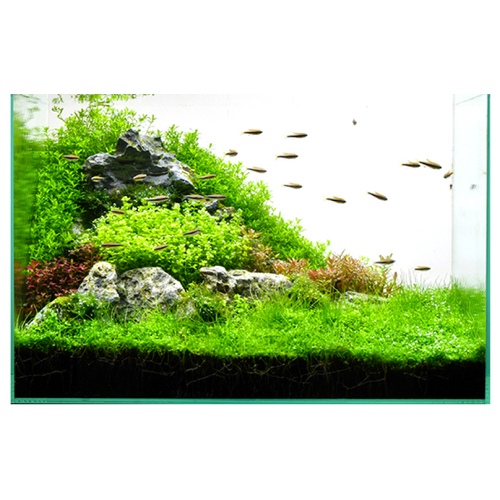 クラッシック2211水槽セット721574_画像04