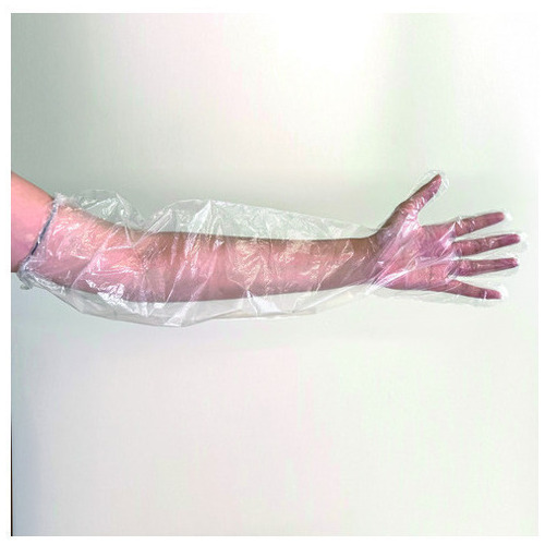 ポリエチレン 使い捨てロング手袋 50枚_画像02