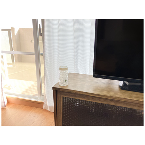 虫コナーズビーズタイプ 250日 無香性_画像02