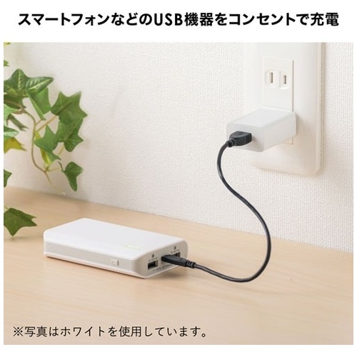 USB充電器 1A・ブラック ACA-IP86BK_画像04