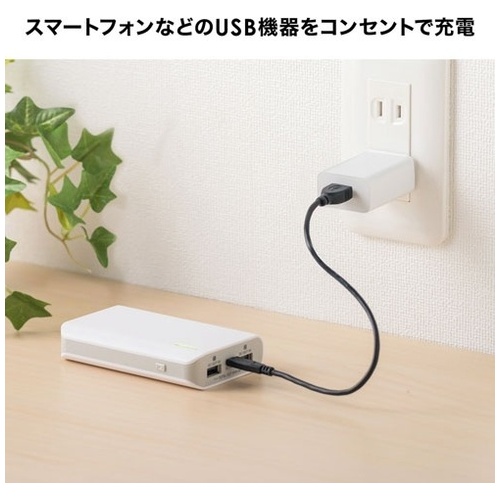 USB充電器 1A・ホワイト ACA-IP86W_画像04