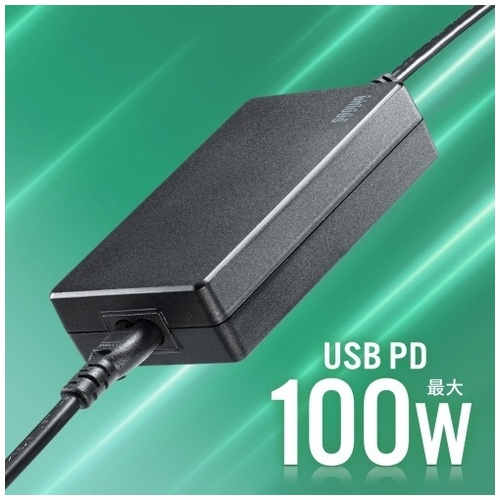 PD充電器 Type-C一体型 ACA-PD94BK_画像04