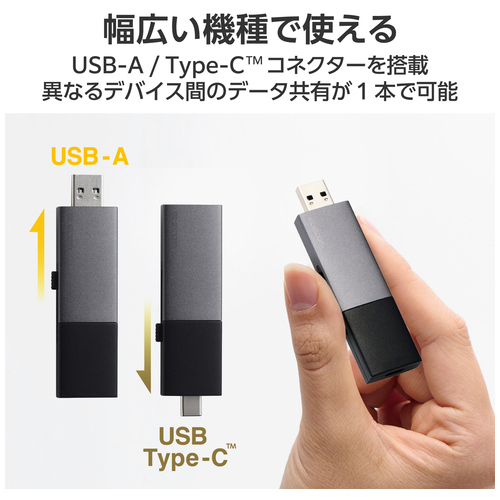 SSD Type-A/C 1TB ESD-EWC1000GBK_画像03