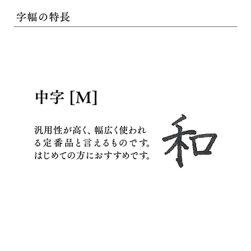 プロフィット18 GD 万年筆 Sブルー M_画像03