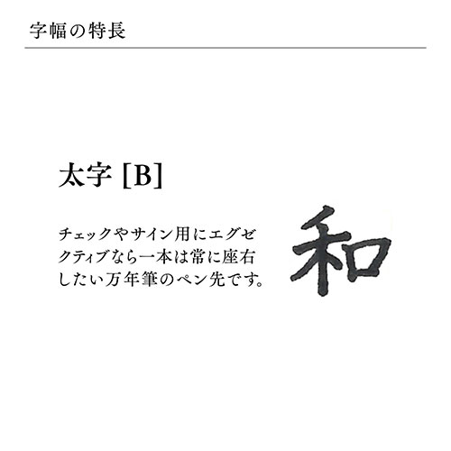 プロフィット18 GD 万年筆 Sブルー B_画像03