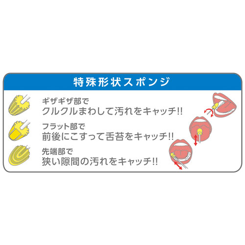 PH マウスポンジ ふつう 強化紙軸 50本入_画像02