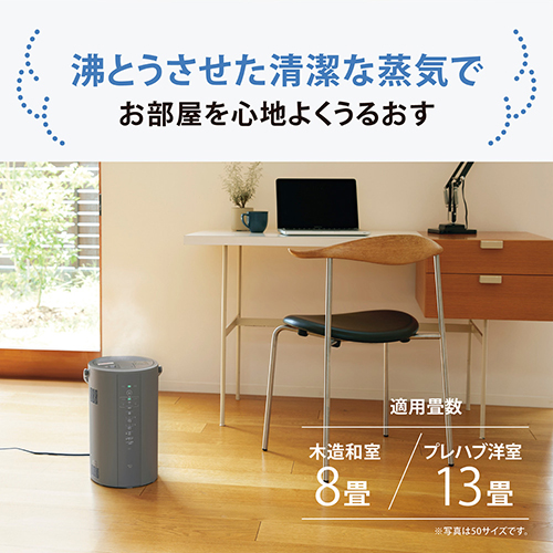 スチーム式加湿器 4L 480mL/h EE-DF50-HA_画像02