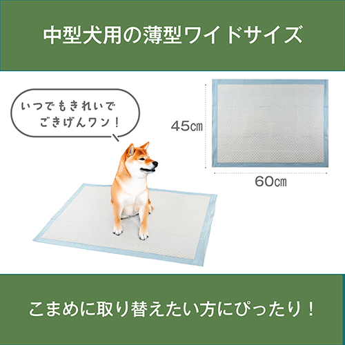 薄型ペットシーツ ワイド 100枚_画像02